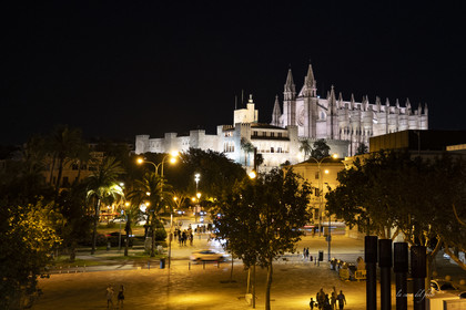 Palma