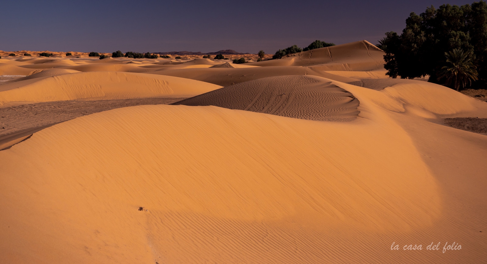 Afrique Maroc