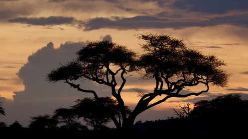 Sunset Tanzanie
