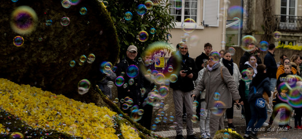 La Fête des Jonquille