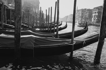 Venise