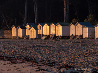 Île de Noirmoutier