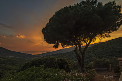 La Corse