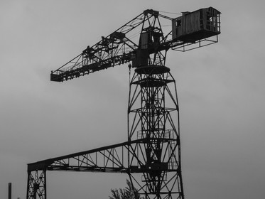 p1435794.jpg