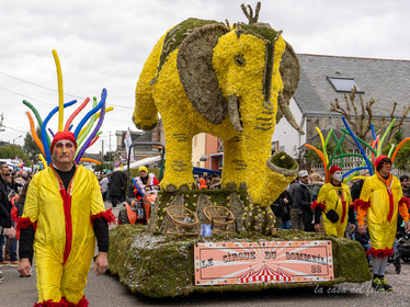 La Fête des Jonquilles