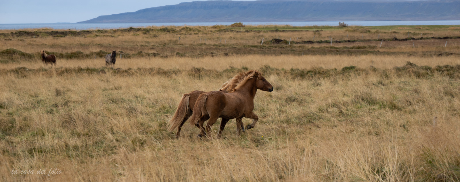 Islande