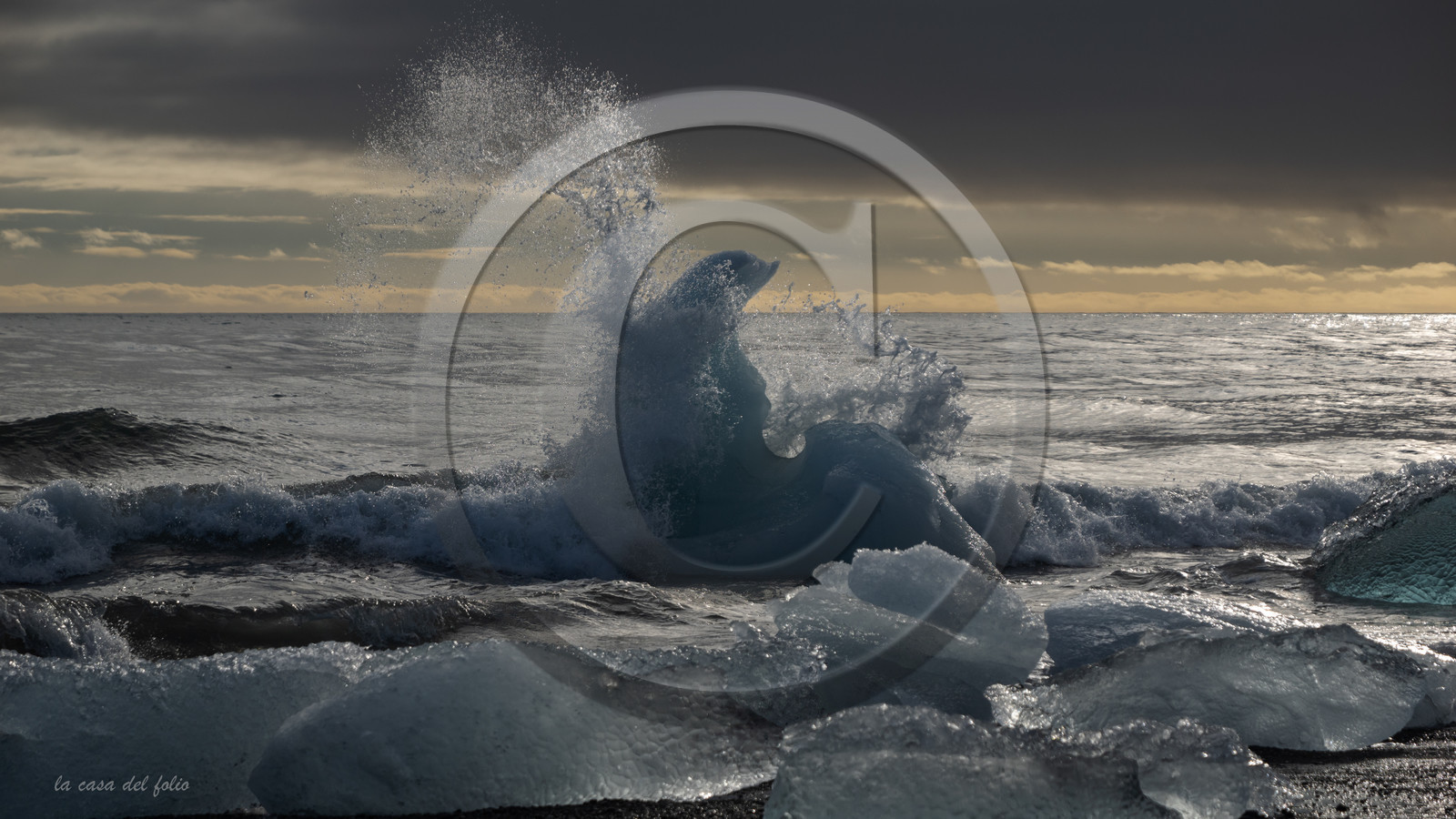 Growler Islandais:  Photo ultraHD sur Alu Dibond 112 x 63 cm