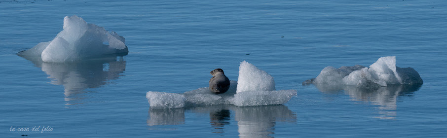 Islande