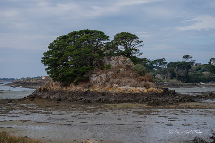 ile-de-Bréhat