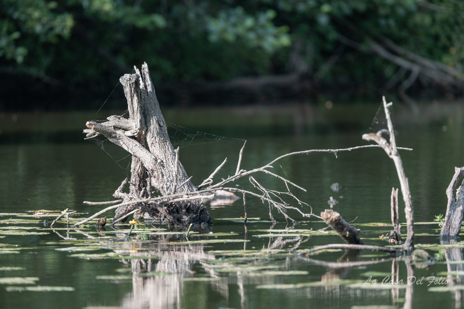 Le Gesvres, La Chapelle-sur-Erdre