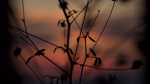 Sunset en Corse