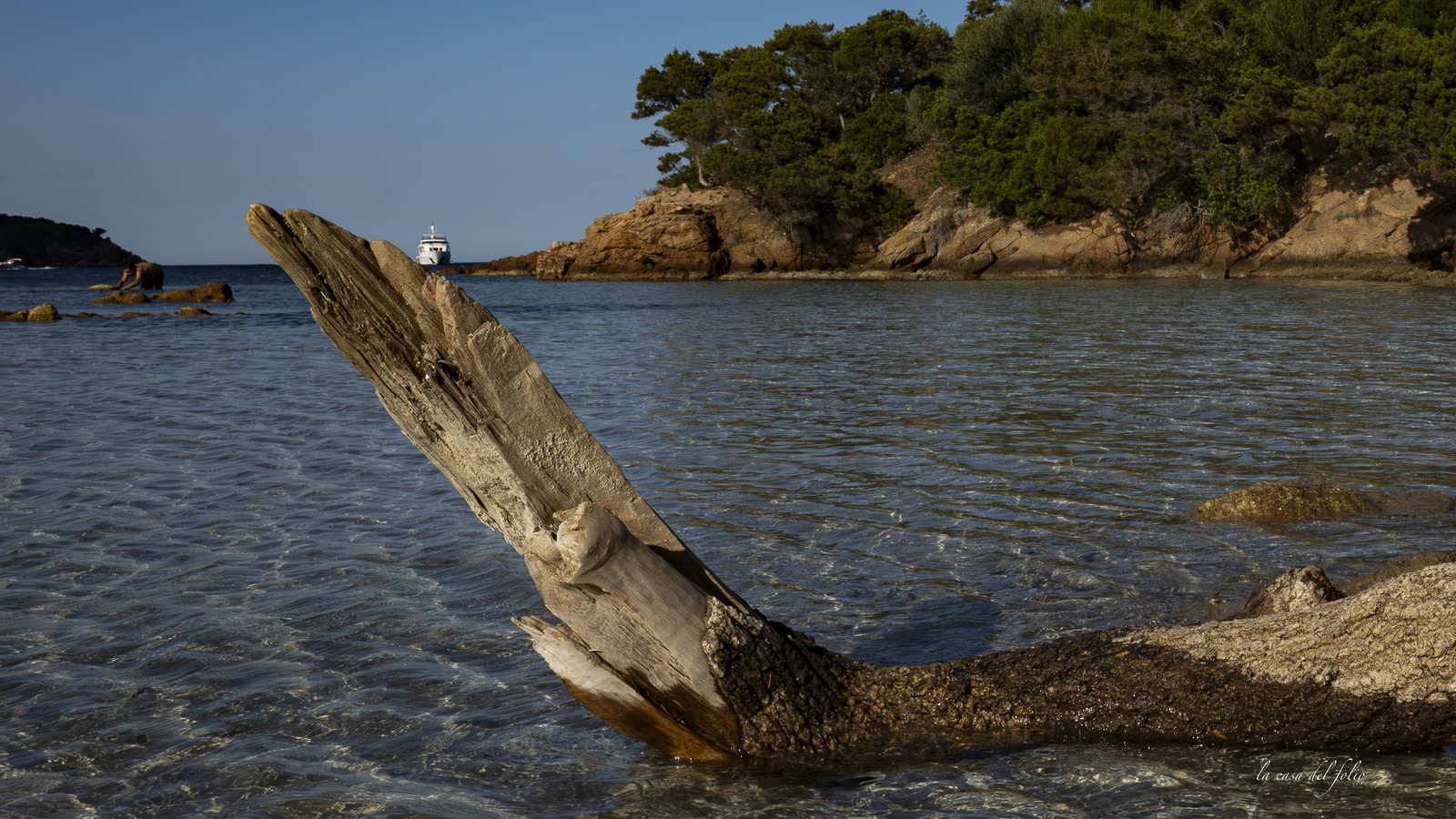 Corse