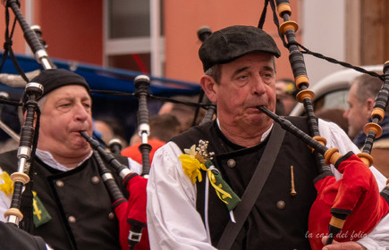 La Fête des Jonquilles