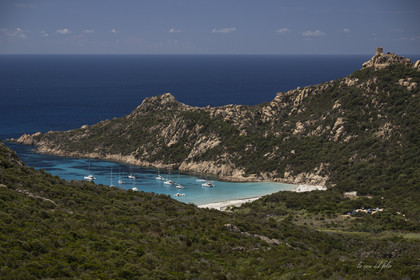 Corse