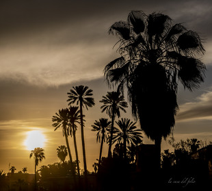 Sunset Maroc
