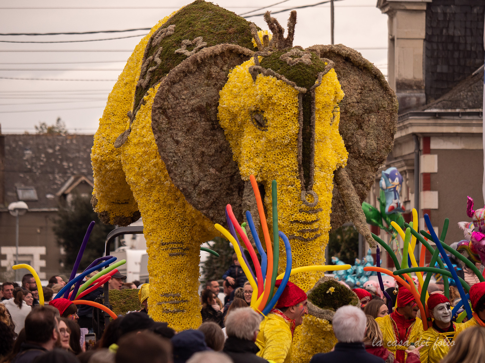 La Fête des Jonquilles