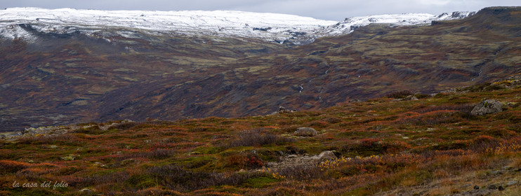 Islande