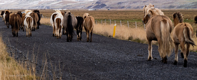 Islande