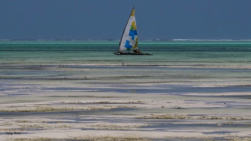 ab90435f-01a6-46bb-b1ad-4915c011f3f4_1_105_c.jpeg