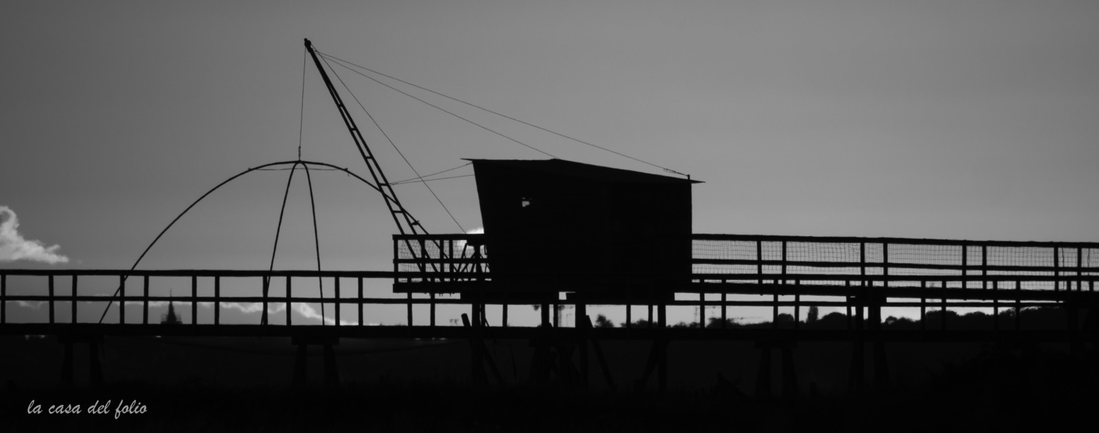 p1436780.jpg