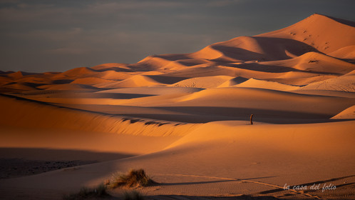 Désert du Sahara