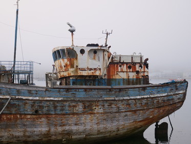 Camaret sur Mer , le cimetière de bateau