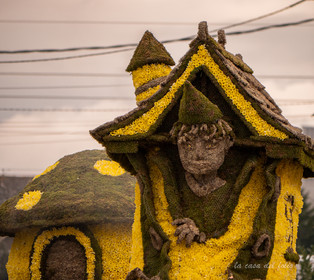 La Fête des Jonquilles