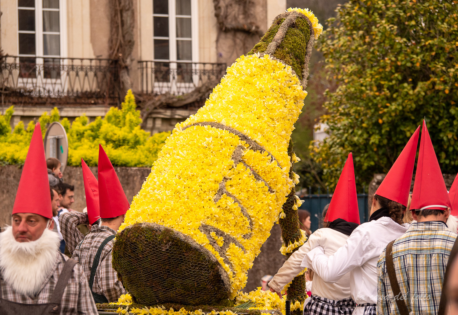 La Fête des Jonquilles
