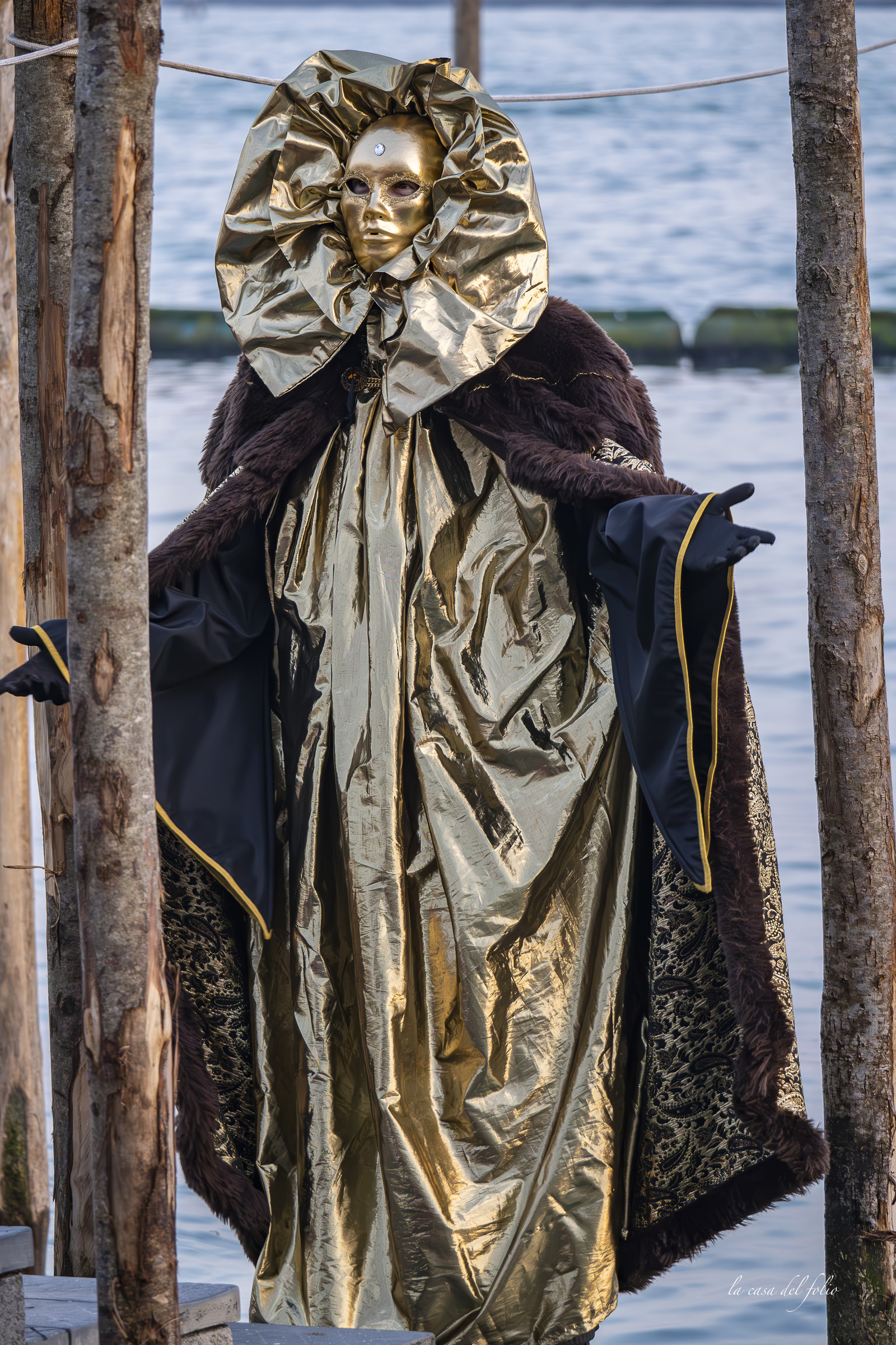 Carnaval Venise 2025