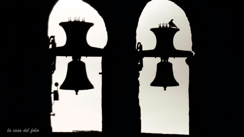 0ed86576-25a2-419e-bd28-41287112db3d_1_105_c.jpg