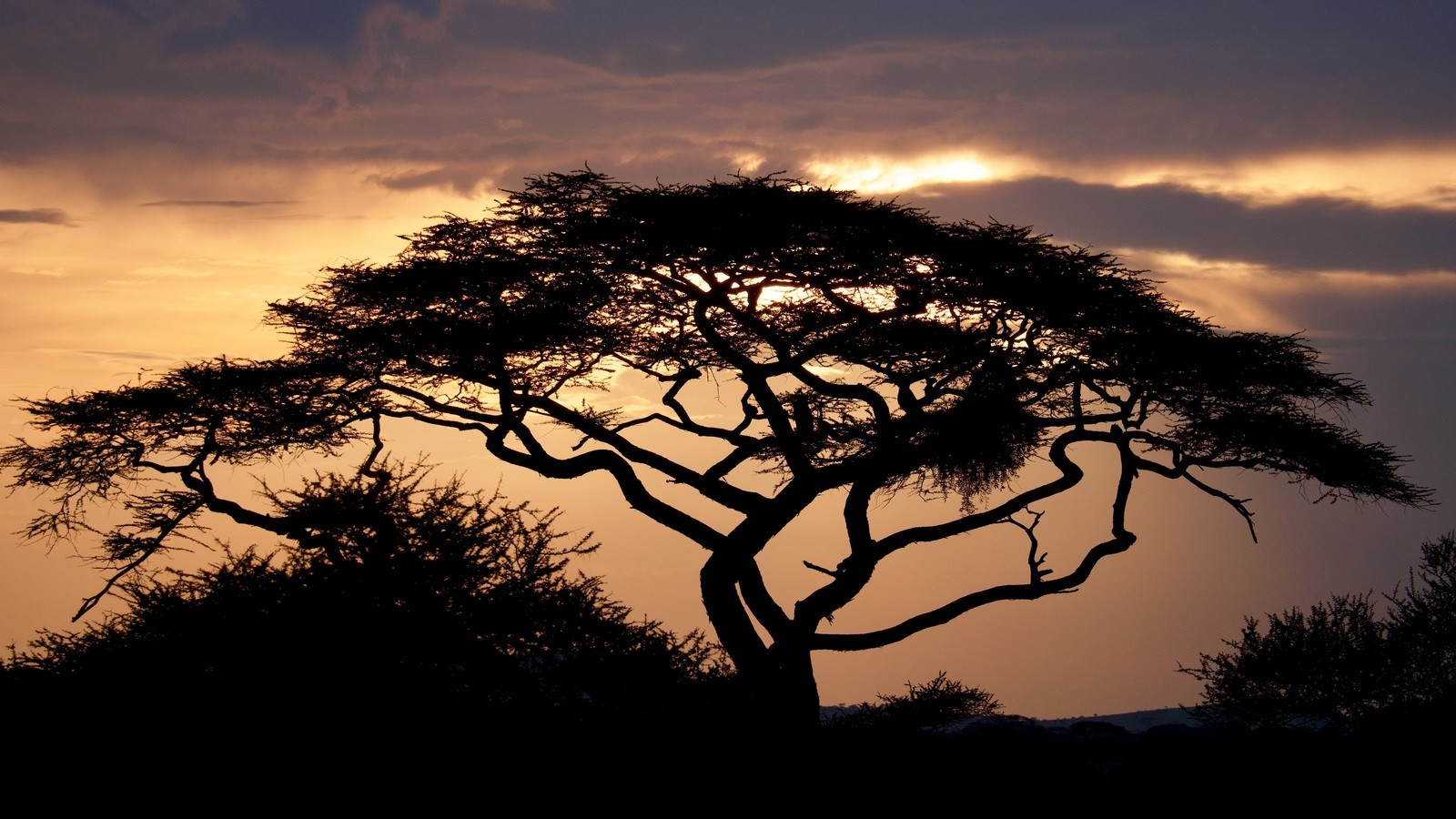 Sunset Tanzanie