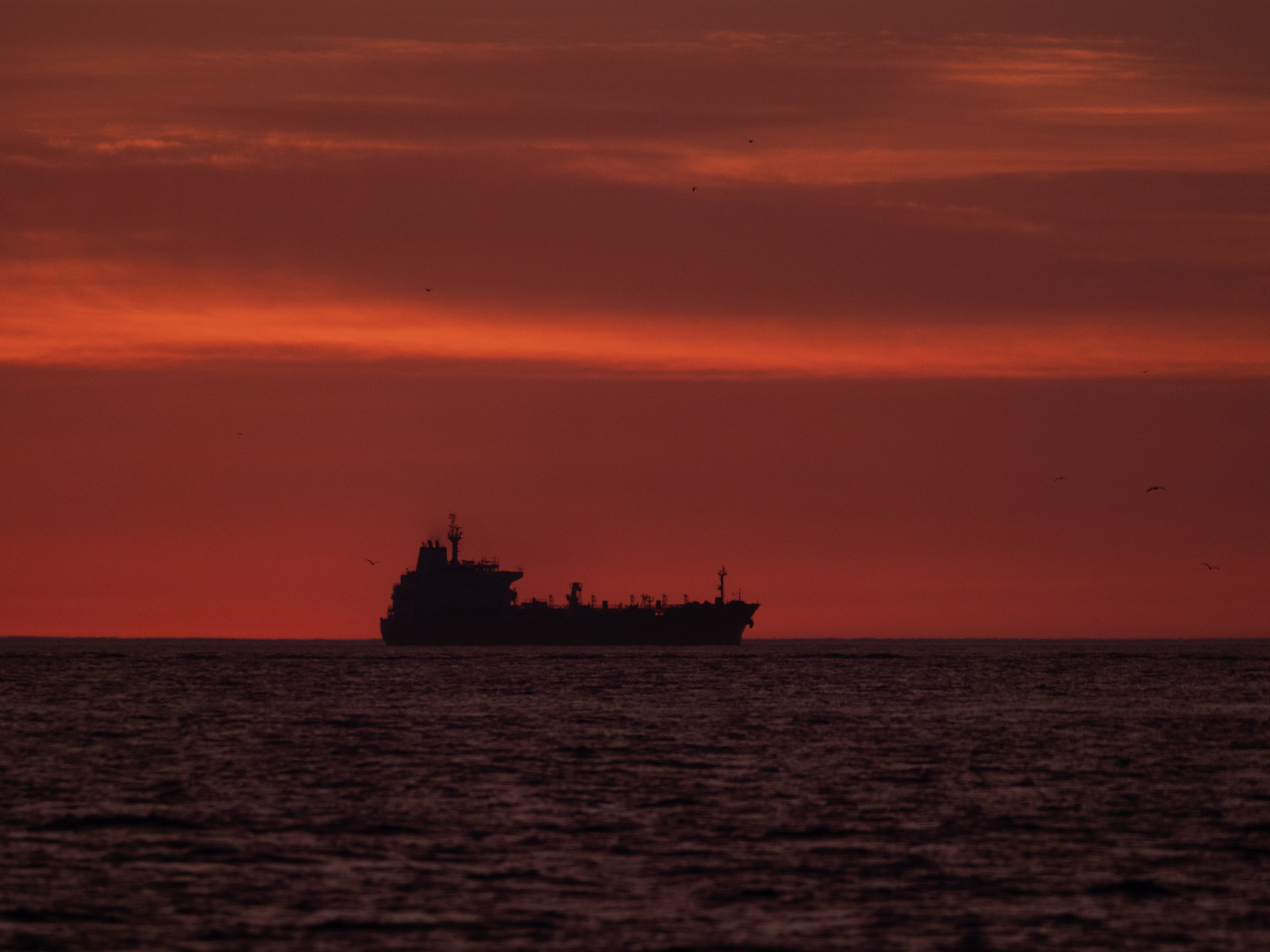 Cargo. Méditerranée
