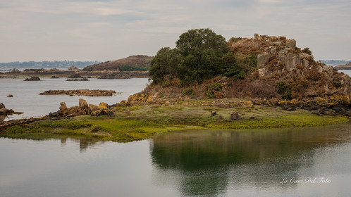 ile-de-Bréhat