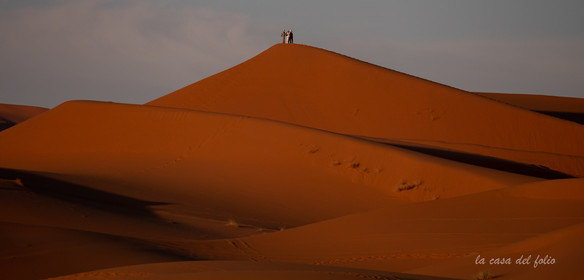 Désert du Sahara