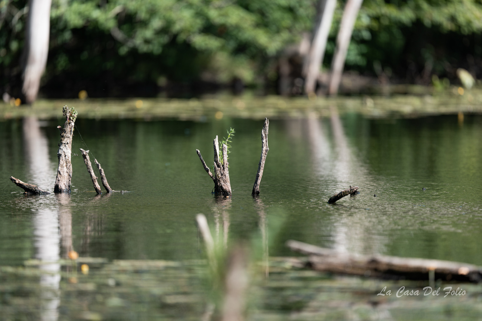 Le Gesvres, La Chapelle-sur-Erdre