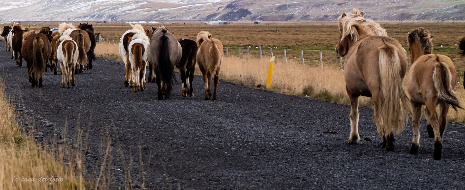 Islande