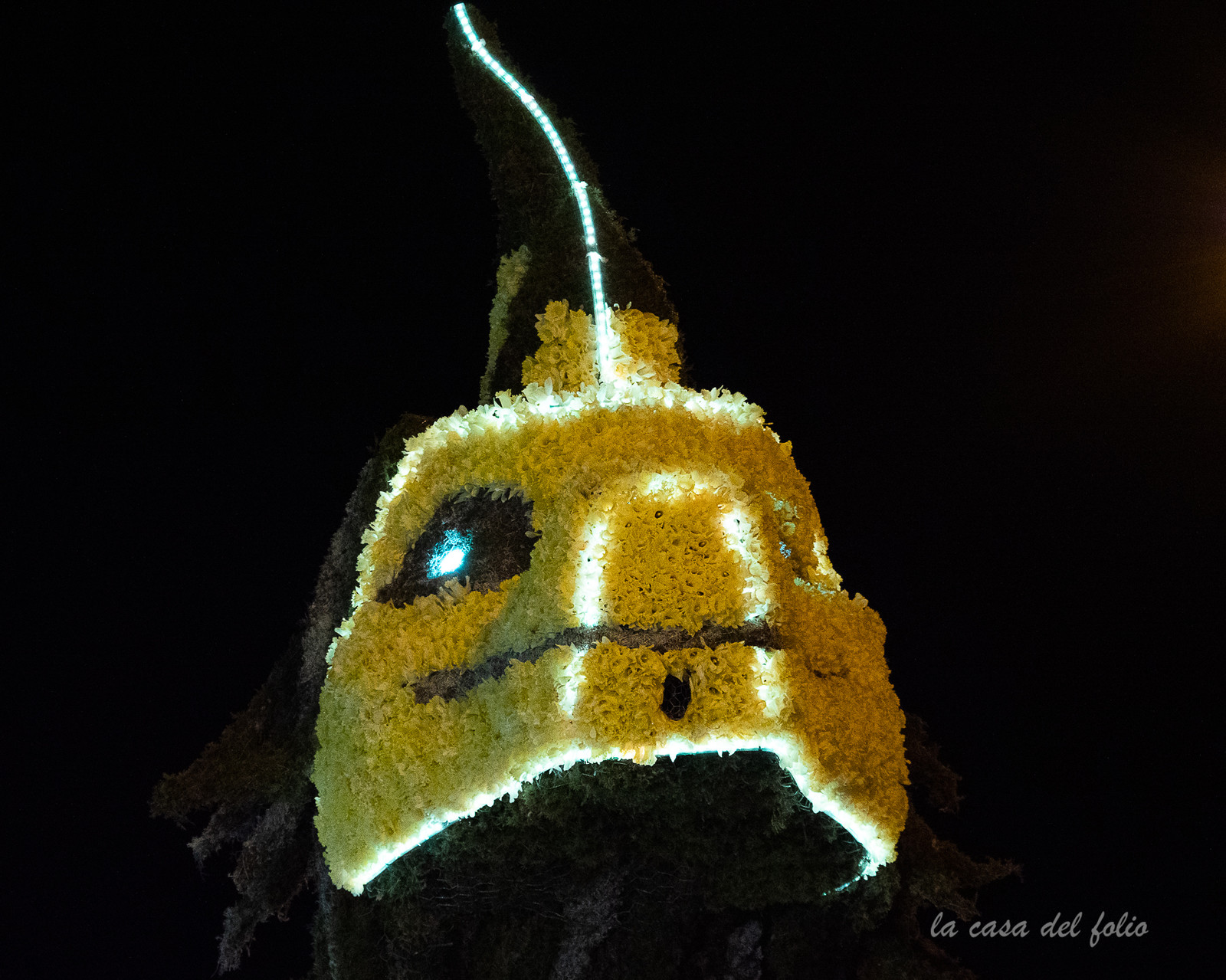 La Fête des Jonquilles