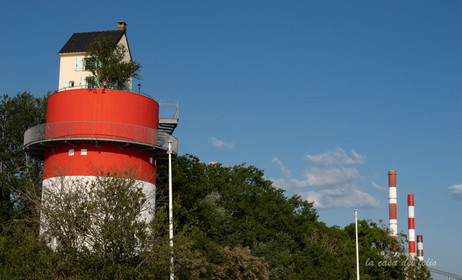 p1120826.jpg
