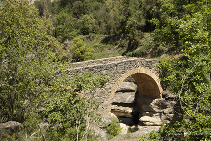 Pont d'en Gatus