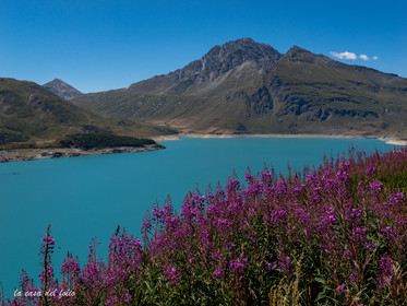 LAC DU MONT-CENIS