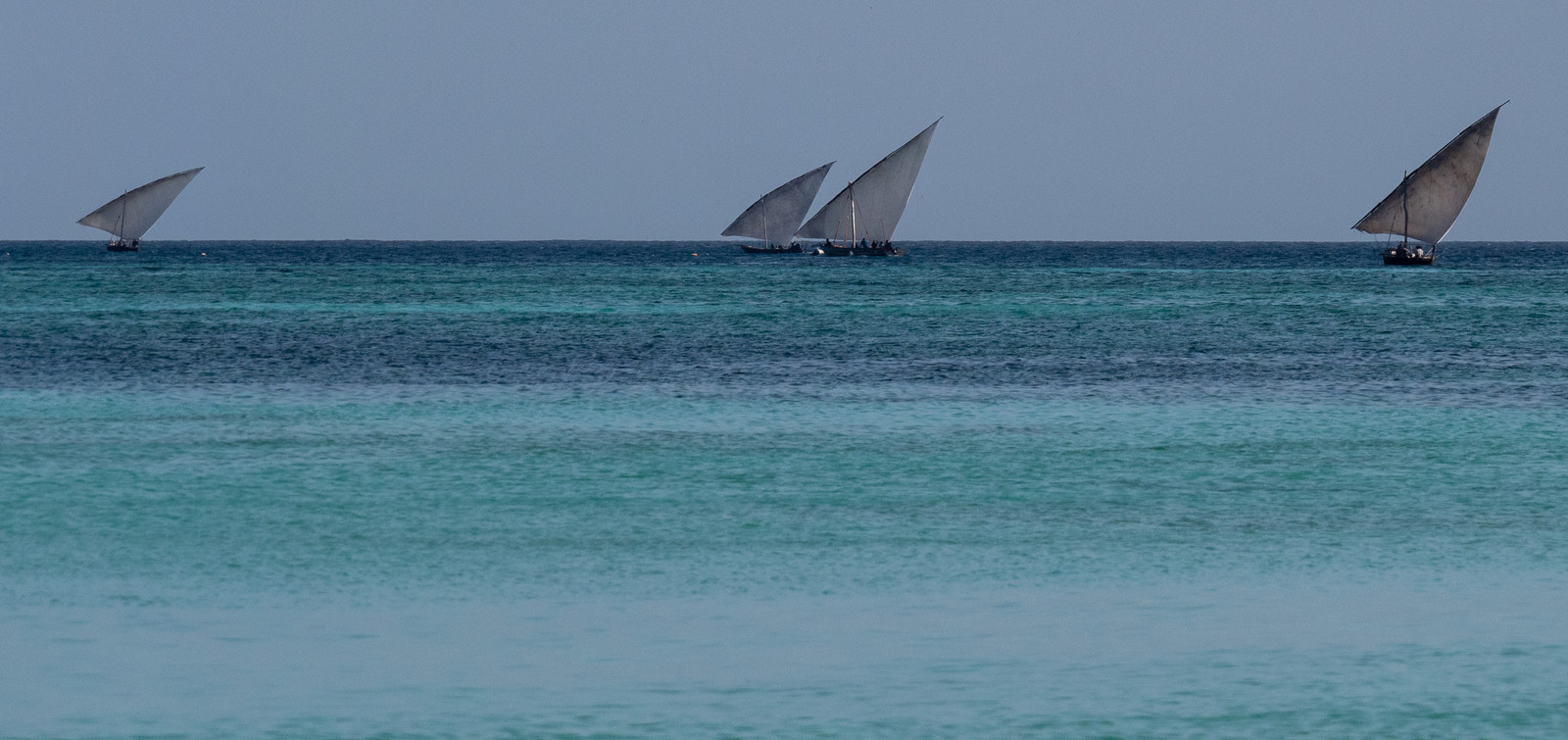 p1207214.jpg