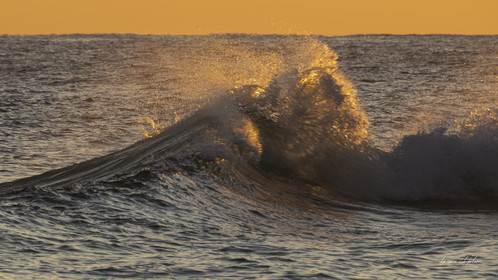 waves in the golden hour