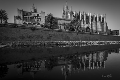 p1156800-enhanced-nr-2.jpg