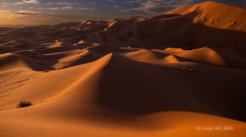 Maroc désert du Sahara,Photo ultra HD sur alu Dibond 125,1 x 70 cm