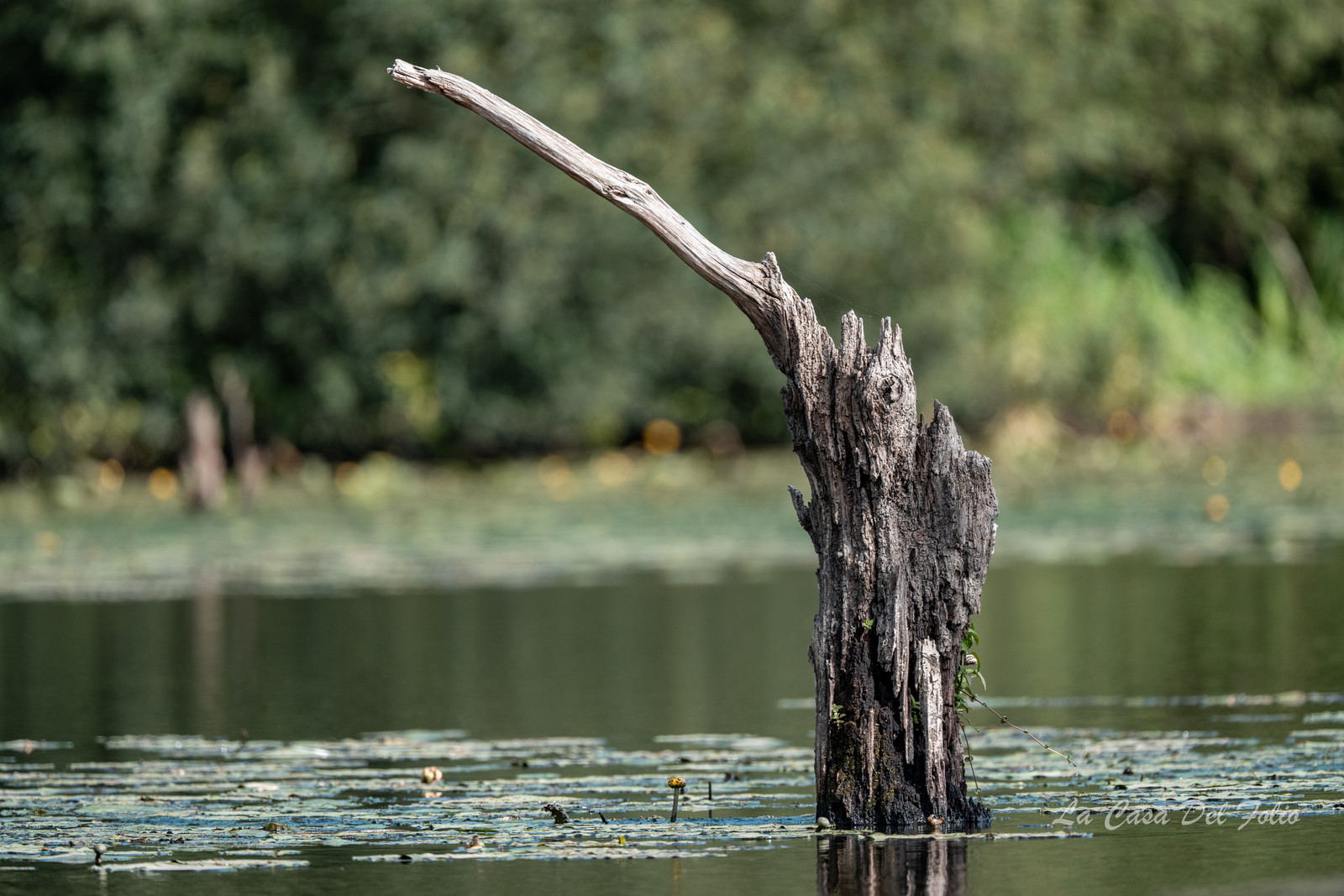 Le Gesvres, La Chapelle-sur-Erdre