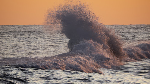 waves in the golden hour