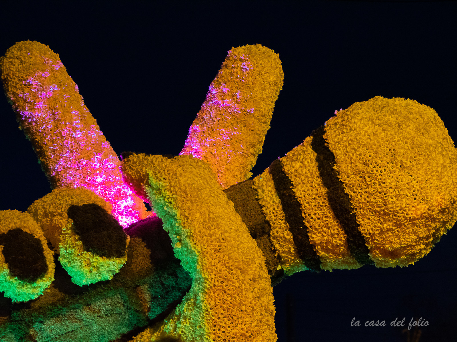 La Fête des Jonquilles