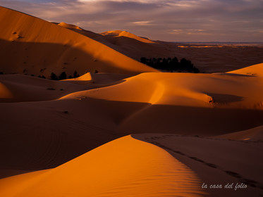 Afrique maroc
