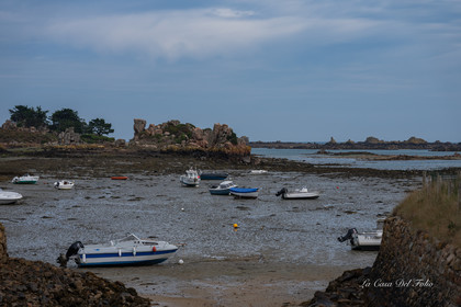 ile-de-Bréhat
