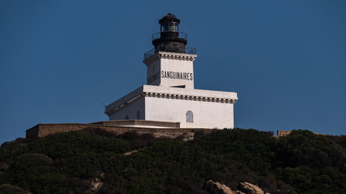 p1290599.jpg